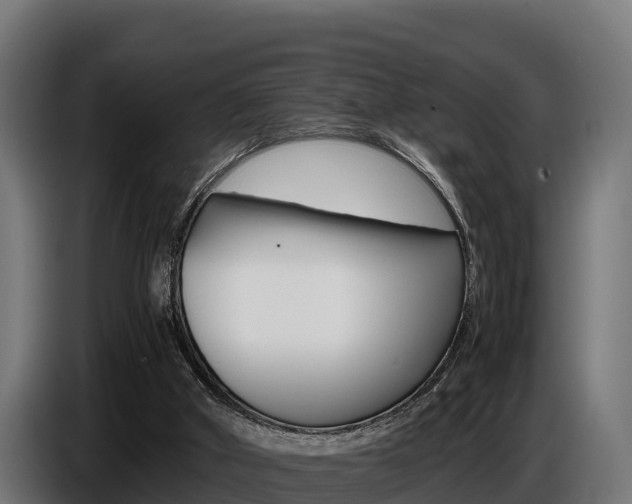 X0000086770010200704130846