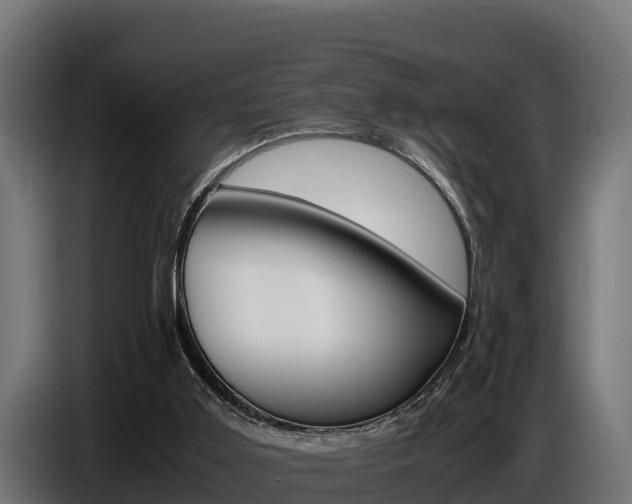X0000086770011200704130846