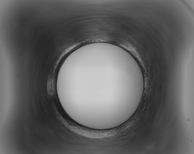 X0000086770012200704130846
