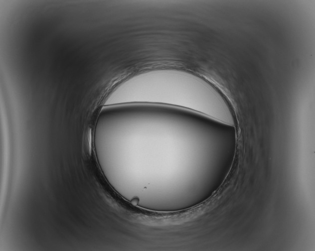 X0000086770013200704130846