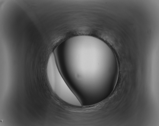 X0000086770017200704130846