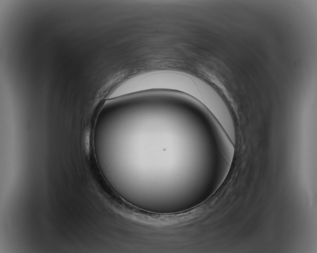 X0000086770019200704130846
