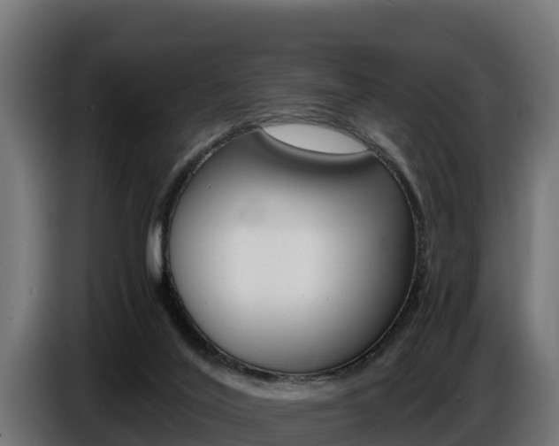 X0000086770020200704130846