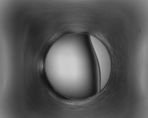 X0000086770021200704130846