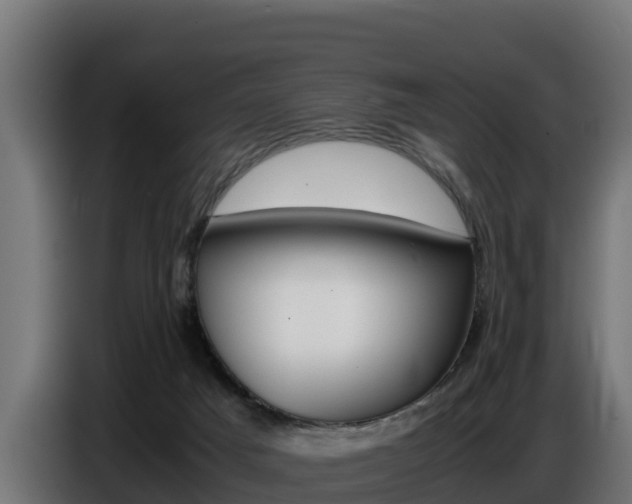 X0000086770025200704130846