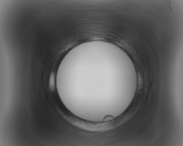 X0000086770028200704130846
