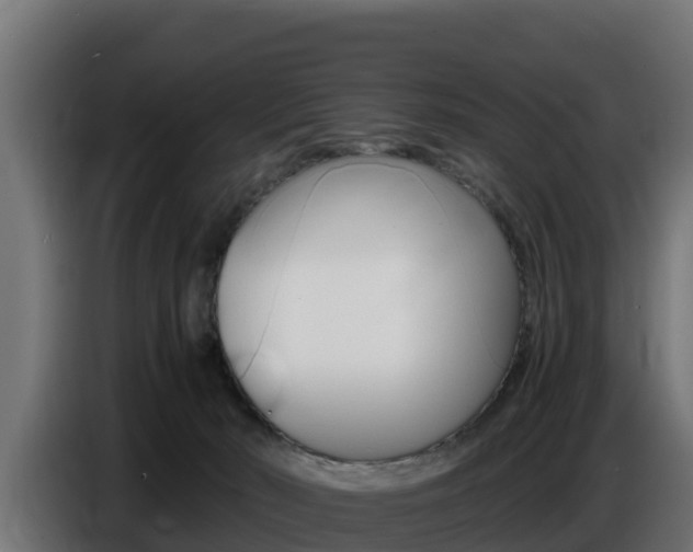 X0000086770030200704130846
