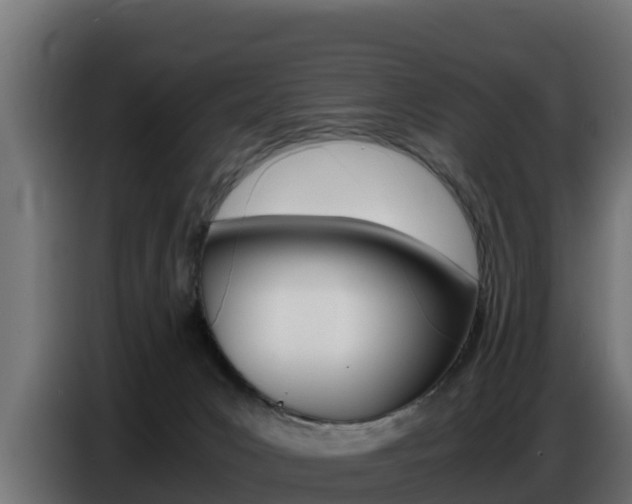 X0000086770031200704130846