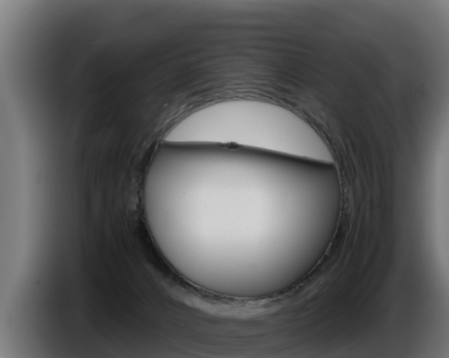 X0000086770032200704130846