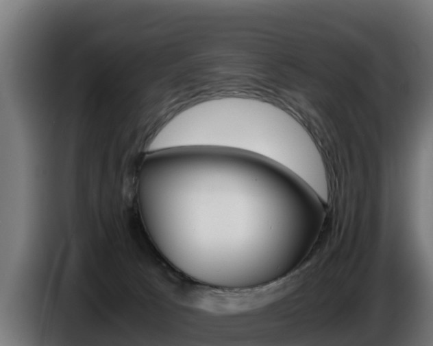 X0000086770033200704130846