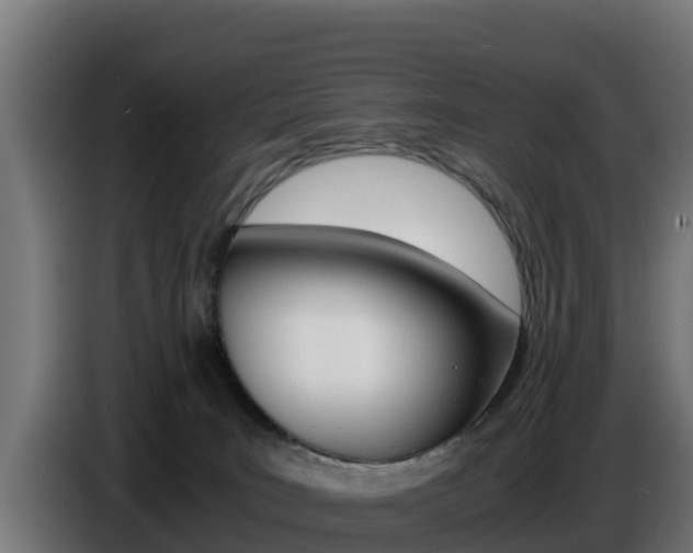 X0000086770035200704130846