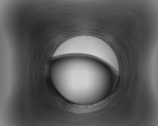 X0000086770037200704130846