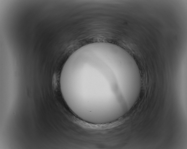 X0000086770038200704130846