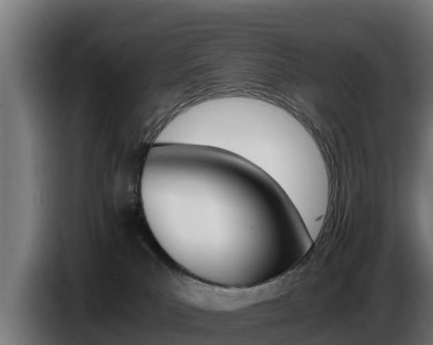 X0000086770039200704130846