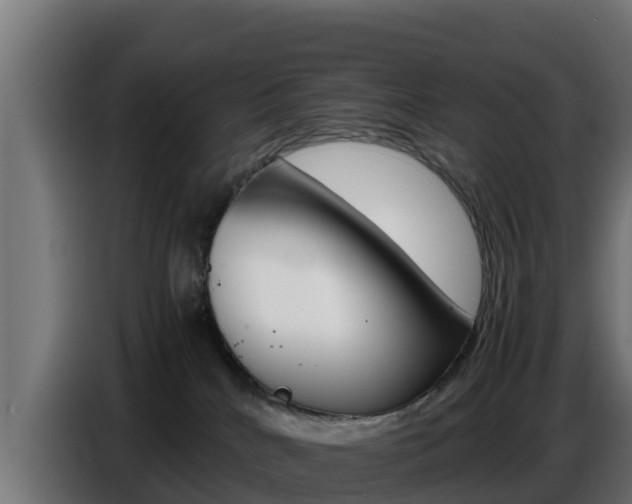 X0000086770040200704130846