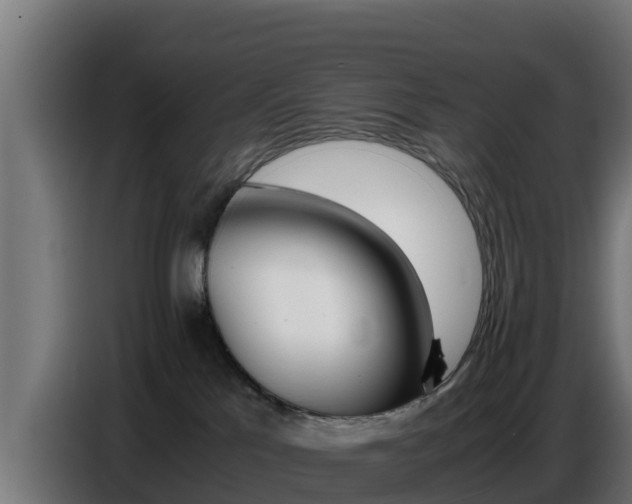 X0000086770041200704130846