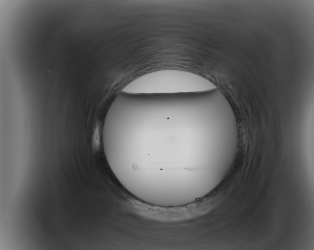 X0000086770042200704130846