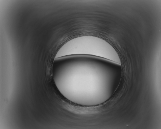 X0000086770044200704130846