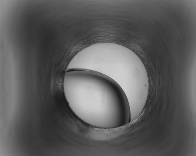 X0000086770045200704130846