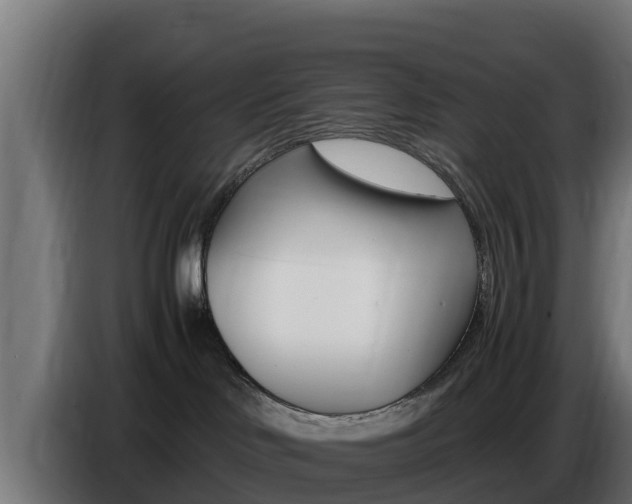X0000086770046200704130846