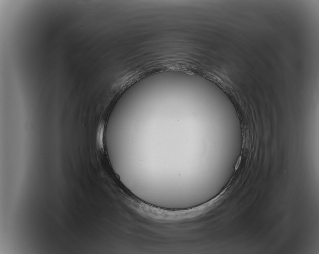X0000086770047200704130846