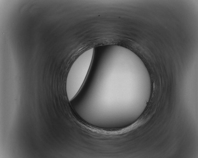 X0000086770048200704130846