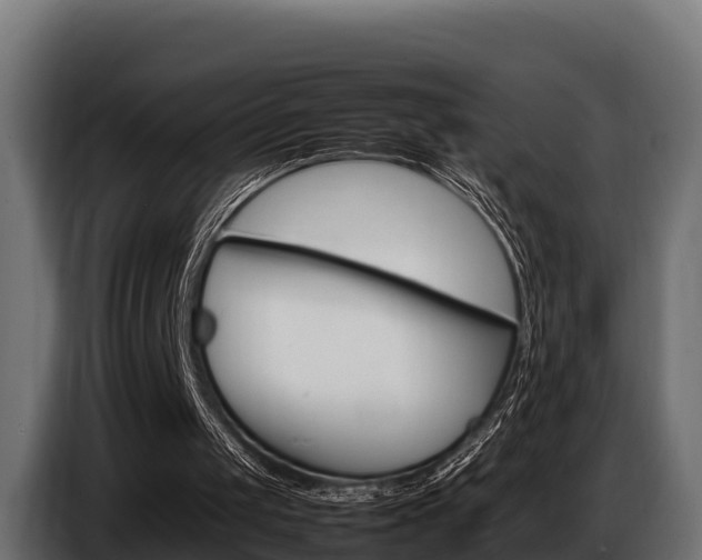 X0000086770049200704130845