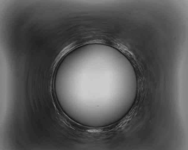 X0000086770051200704130845