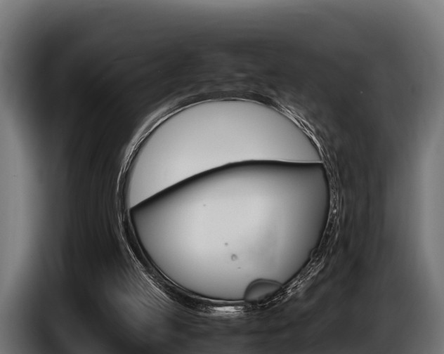 X0000086770053200704130845