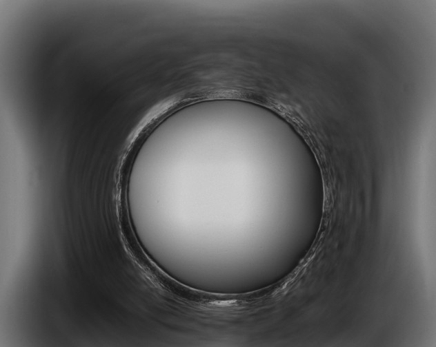X0000086770054200704130845