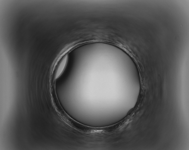 X0000086770055200704130845