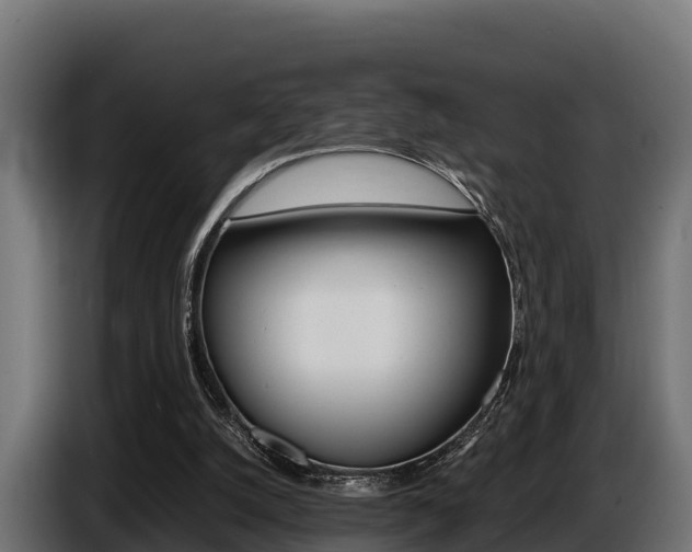 X0000086770056200704130845