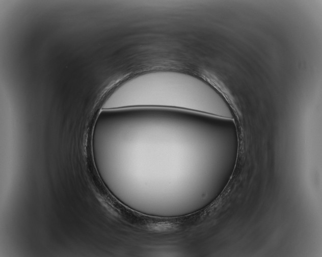 X0000086770058200704130845