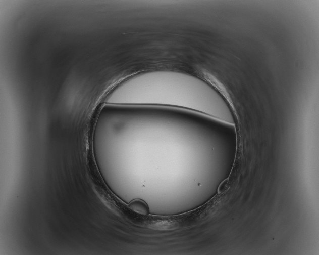 X0000086770059200704130845