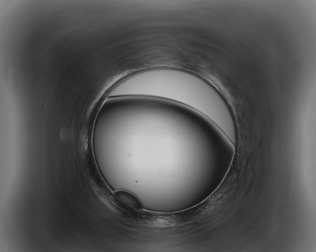 X0000086770060200704130845