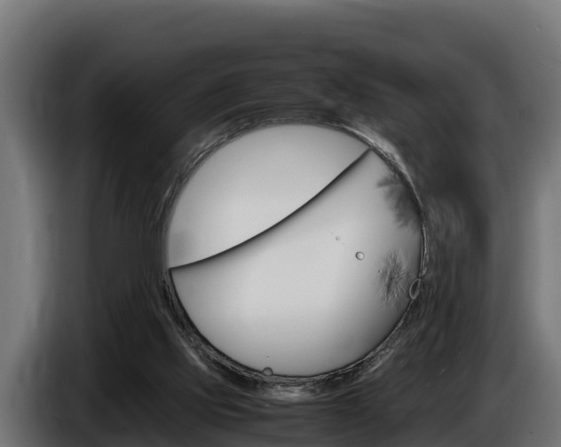 X0000086770061200704130845