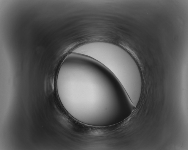 X0000086770062200704130845