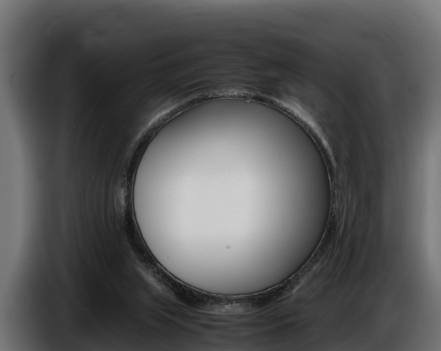 X0000086770063200704130845