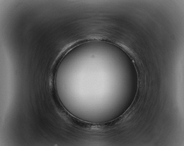 X0000086770064200704130845