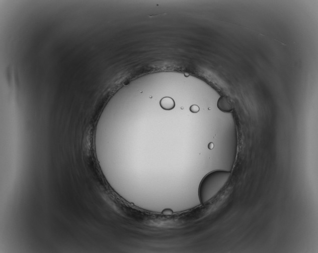 X0000086770065200704130845
