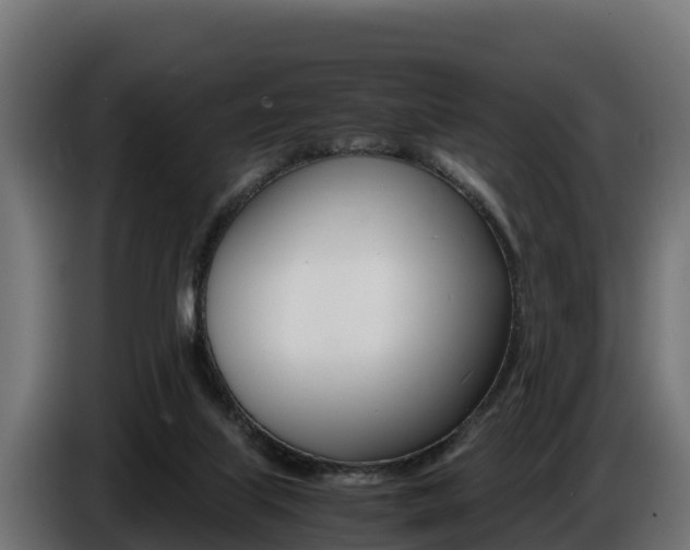 X0000086770067200704130845