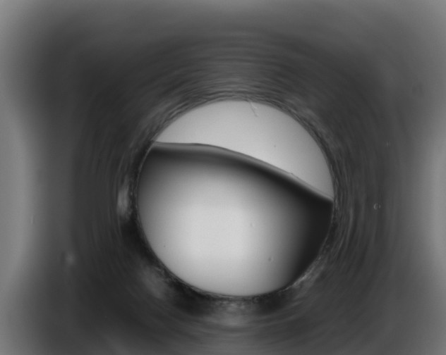X0000086770074200704130846