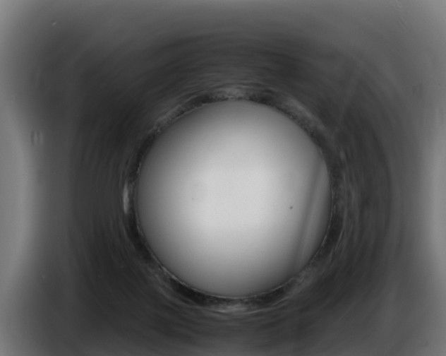 X0000086770075200704130846