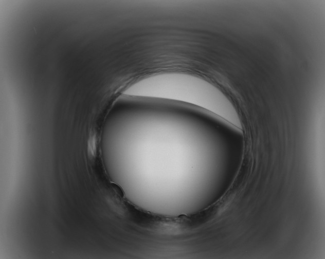 X0000086770076200704130846