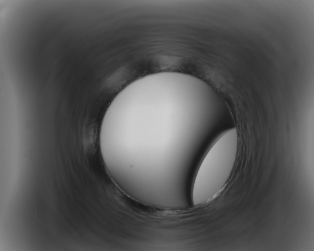 X0000086770082200704130846