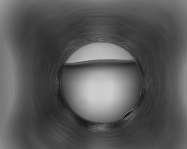 X0000086770086200704130846