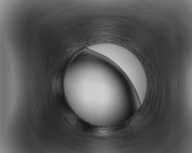 X0000086770088200704130846