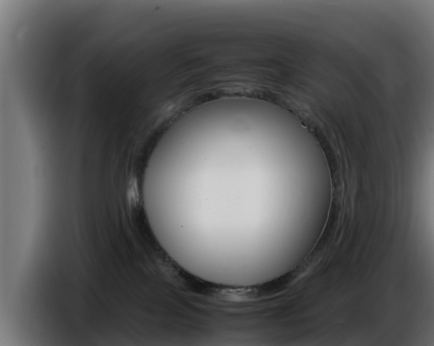 X0000086770089200704130846