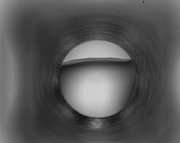 X0000086770091200704130846