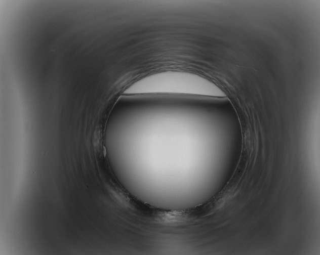 X0000086770092200704130846